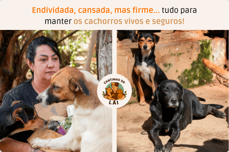 Salve o Abrigo